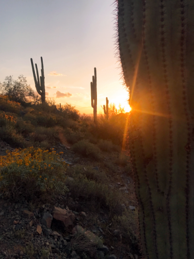 McDowell Mountains